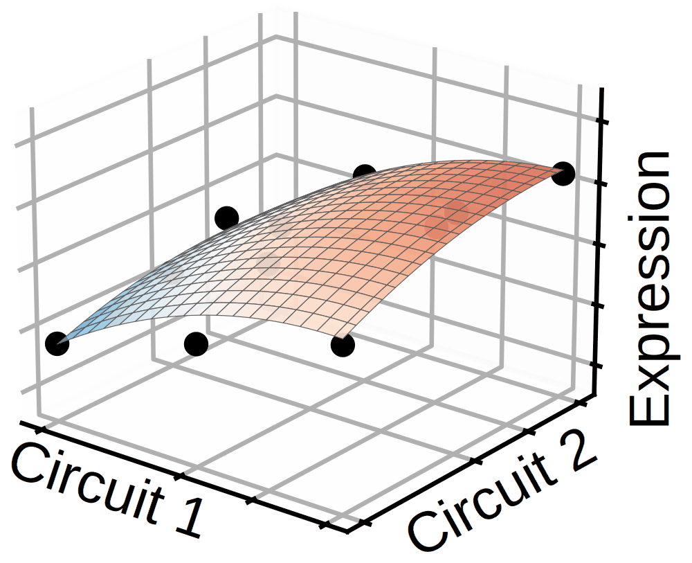Surface plot of expression across combinations of two circuit configurations.